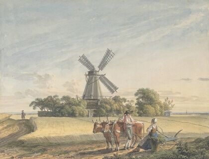 Landscape