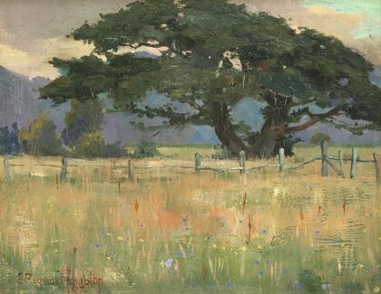Landscape
