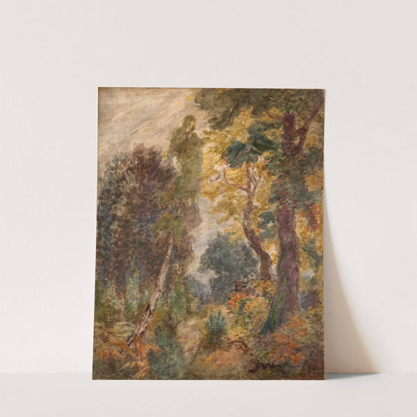 Landscape (1909) by Félix Bracquemond