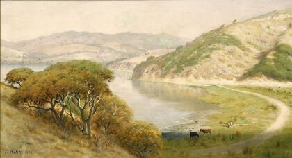 Landscape