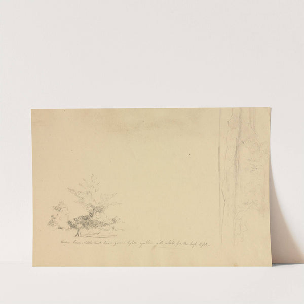 Landscape and Tree Studies (verso) by David Johnson