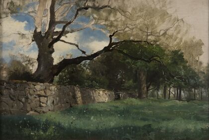 Landscape at Torsebro, near Kristianstad