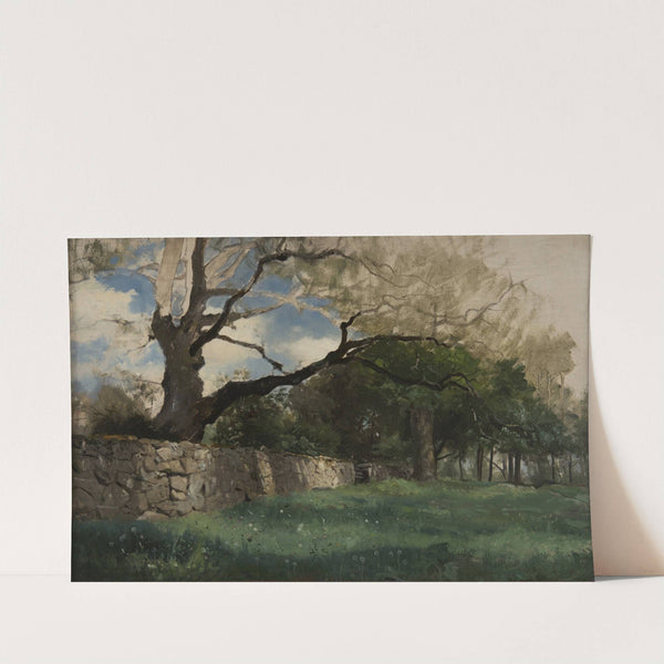 Landscape at Torsebro, near Kristianstad by Gustaf Rydberg