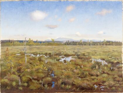 Landscape from Lapland