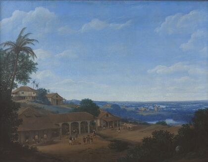 Landscape in Brazil with Sugar Plantation