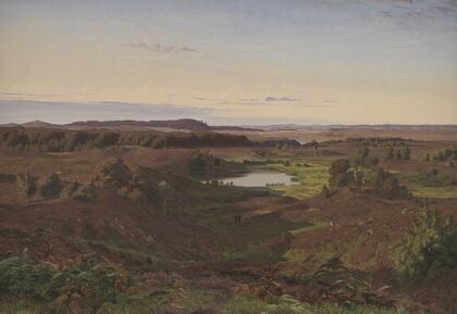 Landscape in the North of Zealand. Afternoon