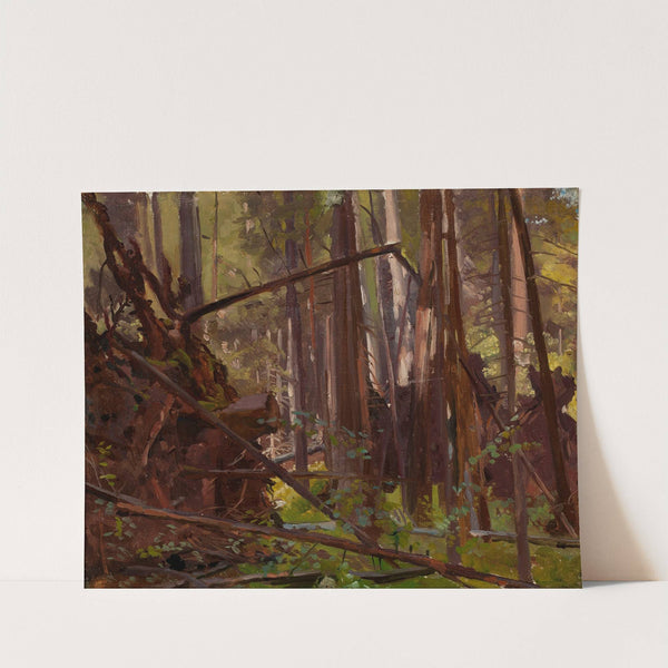 Landscape; Morif from Białowieża (1889) by Jozef Chelmonski