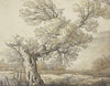 Landscape near Dordrecht