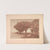 Landscape, Plate 8, Remarque, Pansies (1892–1893) by Charles Marie Dulac