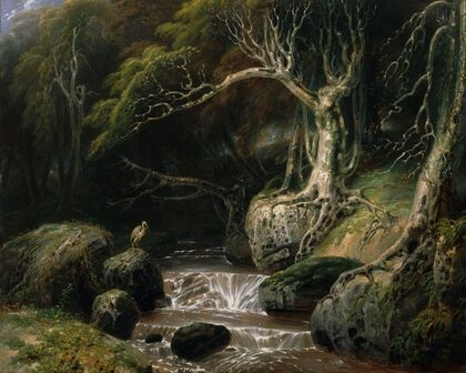 Landscape solitude