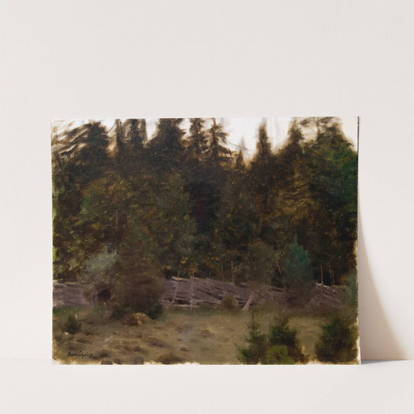 Landscape Study (1901) by Bruno Liljefors