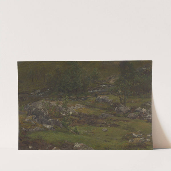 Landscape Study by Anders Askevold