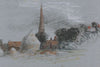 Landscape Study- a haystack near a church