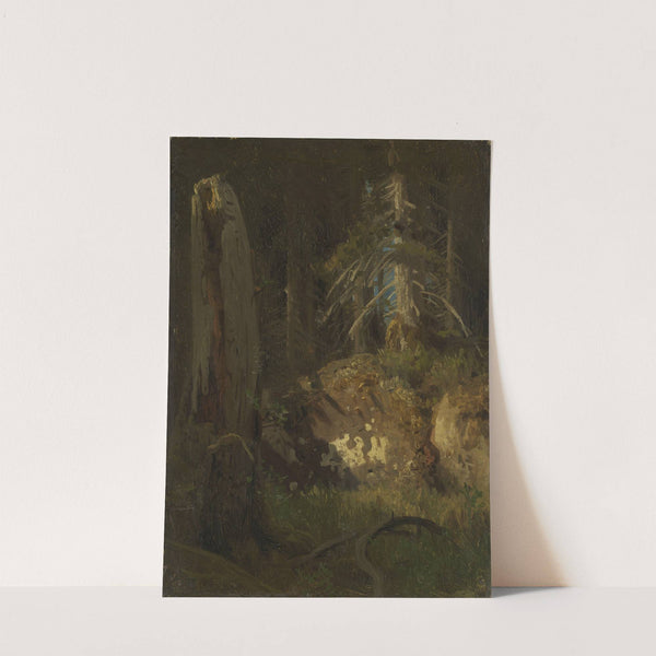 Landscape Study with Decaying Trees by August Cappelen