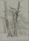 Landscape Study with Trees (c. 1870–1875)