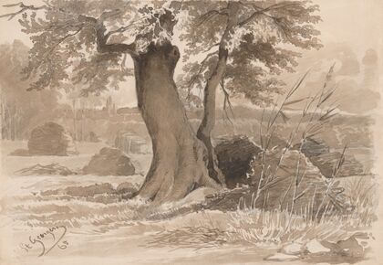 Landscape with a Spreading Tree in the Foreground