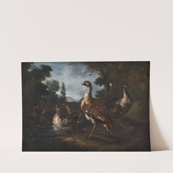 Landscape with Birds (1665 – 1730) by Angelo Maria Crivelli