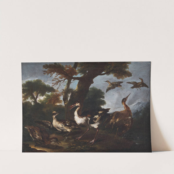 Landscape with Birds (1665 – 1730) by Angelo Maria Crivelli