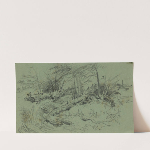 Landscape with fallen trees and rocks (1860-1865) by Alfred Rudolph Waud