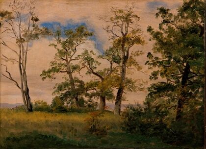 Landscape with free-standing trees