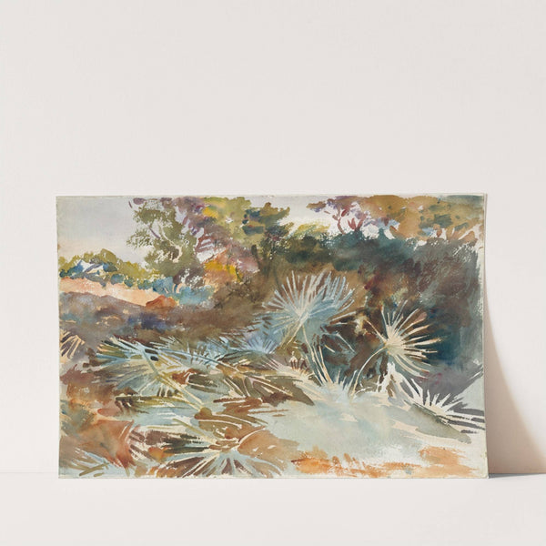 Landscape with Palmettos by John Singer Sargent