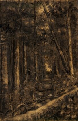 Landscape with Path through Forest