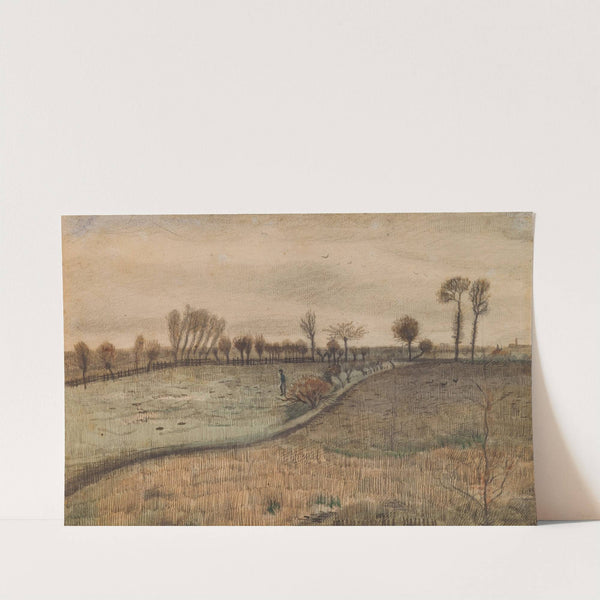 Landscape with Pollard Willows (c.1880) by Vincent van Gogh