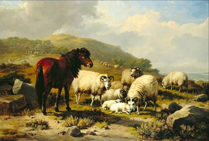 Landscape with Sheep