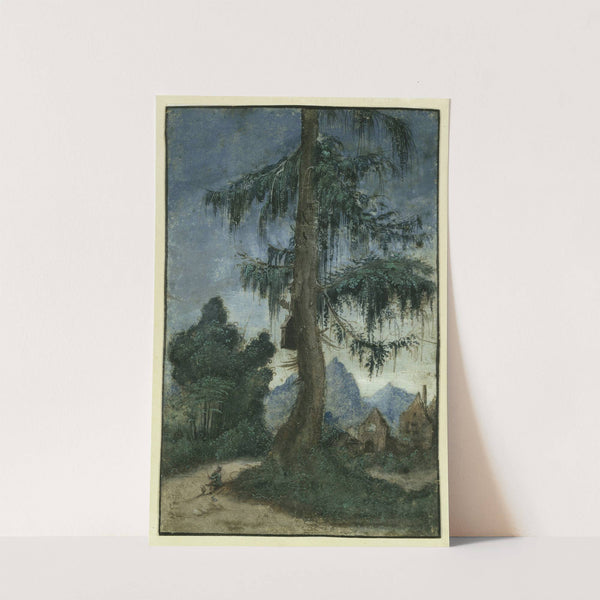Landscape with spruce (circa 1522) by Albrecht Altdorfer