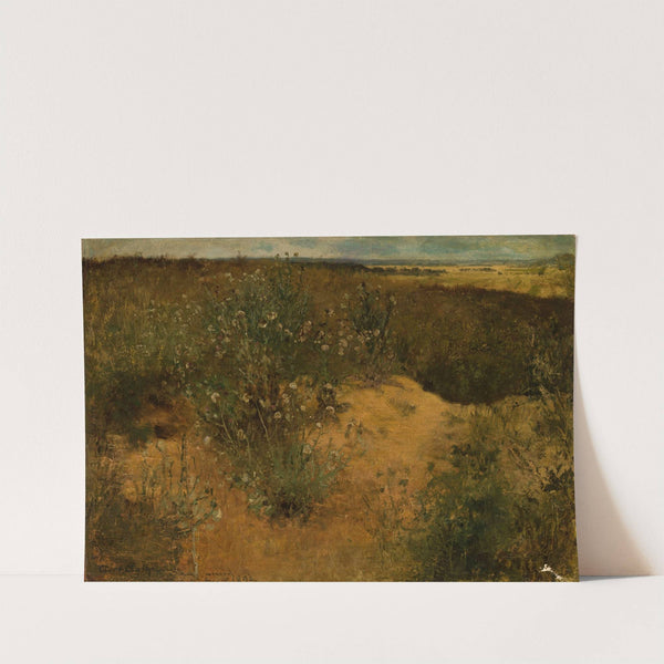 Landscape with thistles (1892) by Curt Agthe