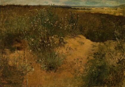 Landscape with thistles