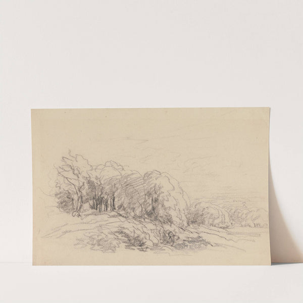 Landscape with Trees (1840s) by David Cox