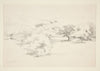 Landscape with Trees