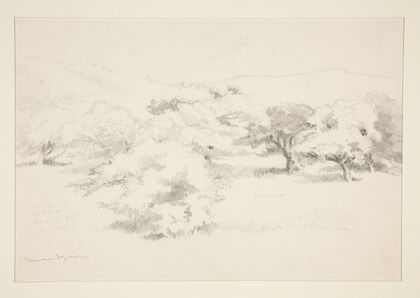 Landscape with Trees