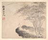 Landscapes after Ancient Masters Pl.11 (1693)