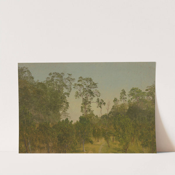 Landscapes (July 1865) by Frederic Edwin Church