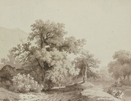 Landschaft mit großen Bäumen
