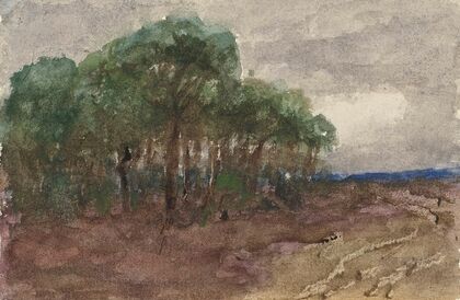 Landschap