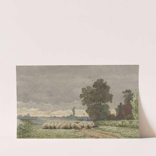 Landschap met kudde schapen (1857 - 1884) by Cornelis Willem Hoevenaar II