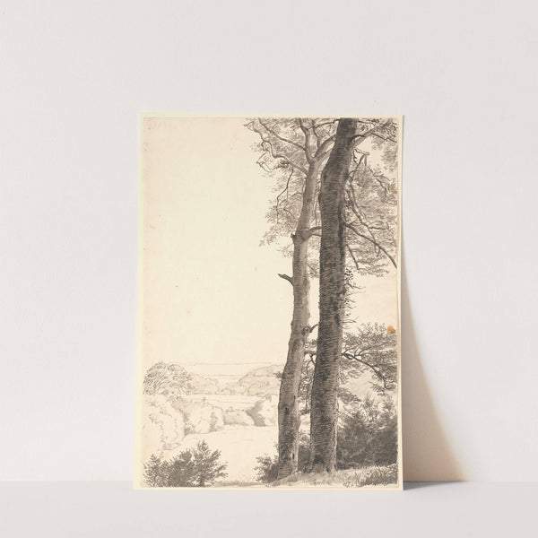 Landskab ved Skarritsø med to høje træer, bøge, i forgrunden by P. C. Skovgaard