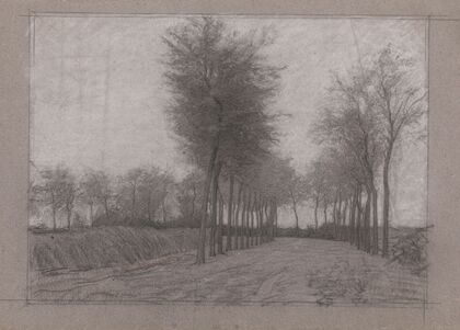 Landweg met bomen aan weerszijden