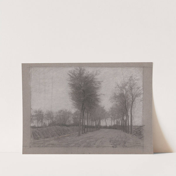 Landweg met bomen aan weerszijden by Jan Veth