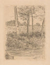 Landweg met bomen, Bussum