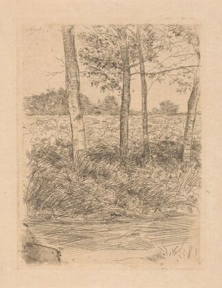 Landweg met bomen, Bussum