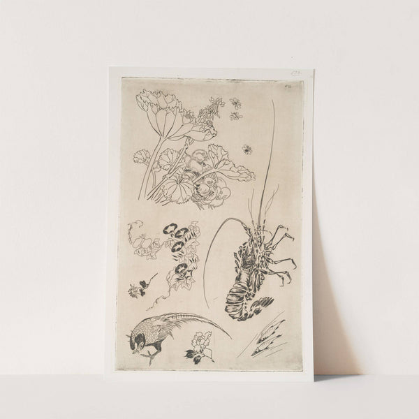 Langouste, plantes avec oiseaux (1866) by Félix Bracquemond