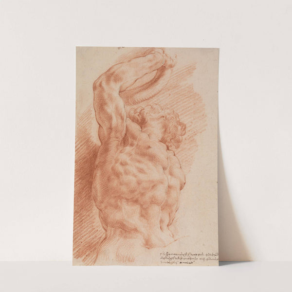 Laocoon. Laocoon's torso seen from below from the right. by Willem Panneels