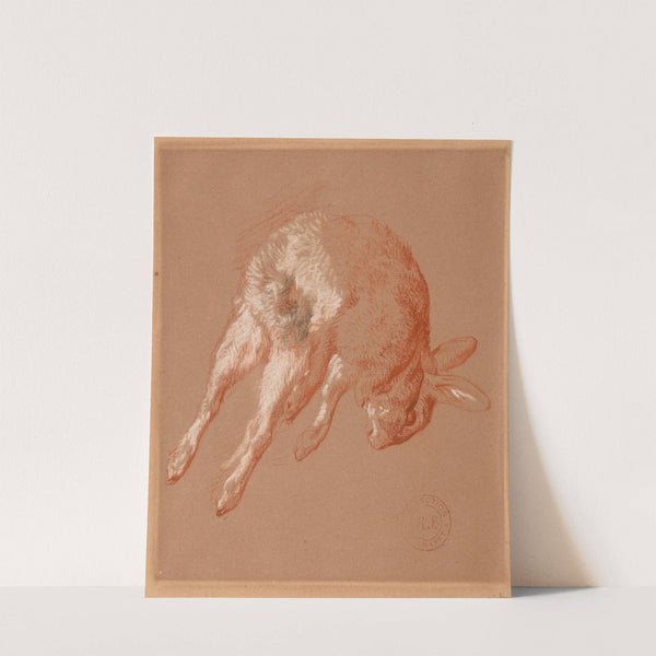 Lapin by Jacques-Raymond Brascassat