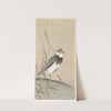 Lapwing and reed by Ohara Koson