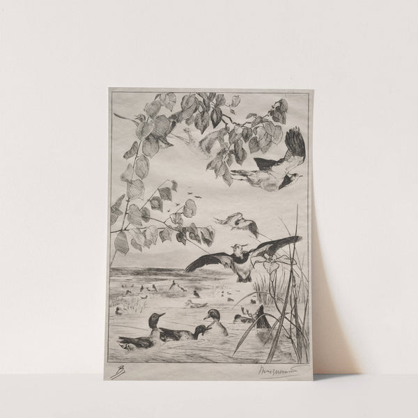 Lapwings and Teals (1862) by Félix Bracquemond