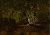 L’arbre aux trois troncs